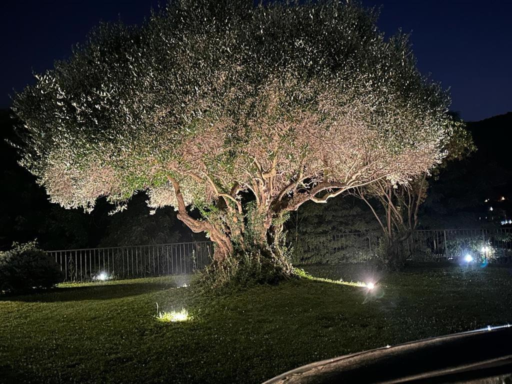 Country House Mercogliano Exterior foto